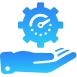 Limited Customization color