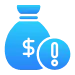 Budget Overruns