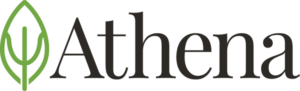 athena-768x232